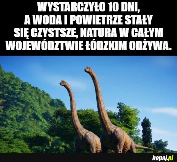 Wspaniałe wieści