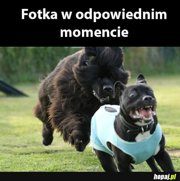 DOBRY MOMENT