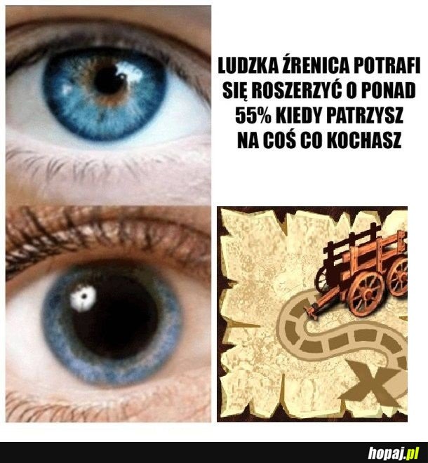 Biere
