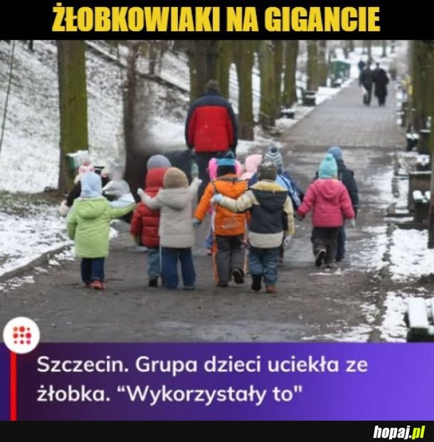 Poszły w długą