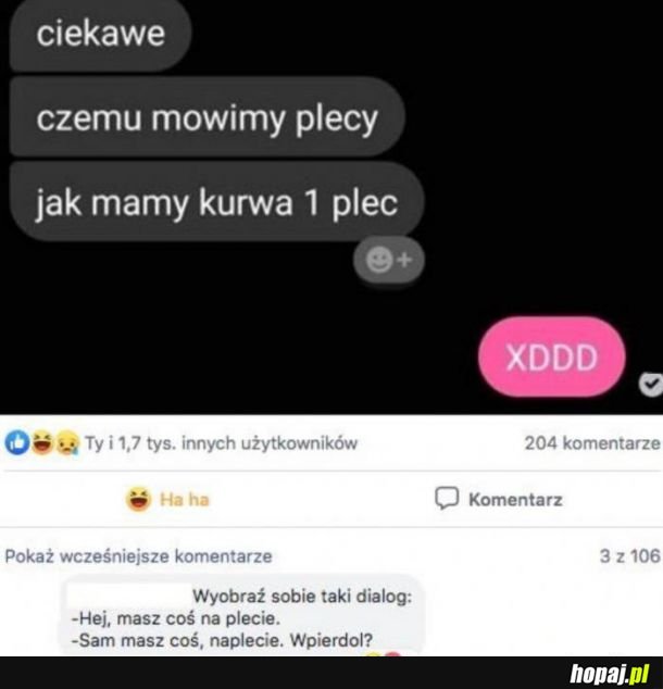  Plecy