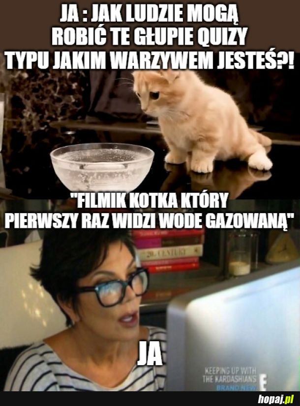 Kotek był zaskoczony