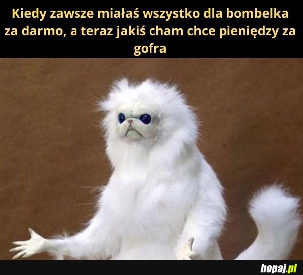 Dla bombelka wszystko powinno być za darmo