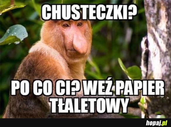 PO CO CI CHUSTECZKI