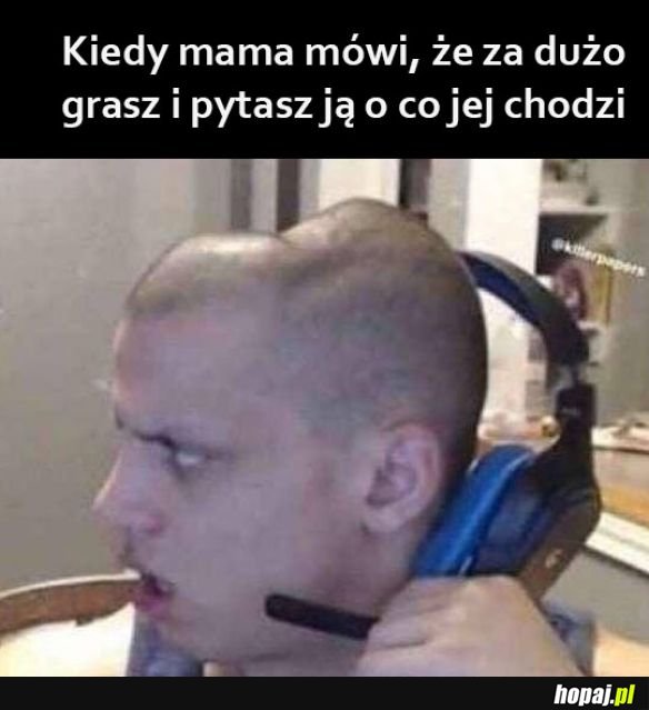 Ale o co chodzi