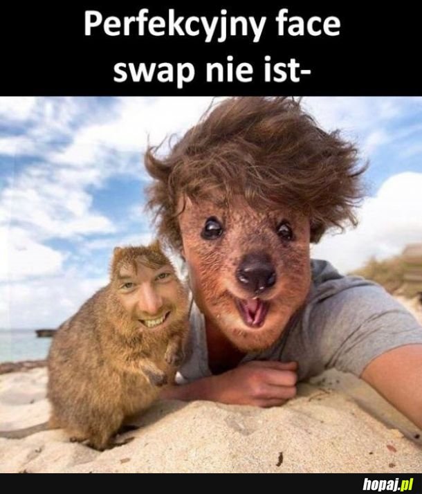 Perfekcyjne faceswap