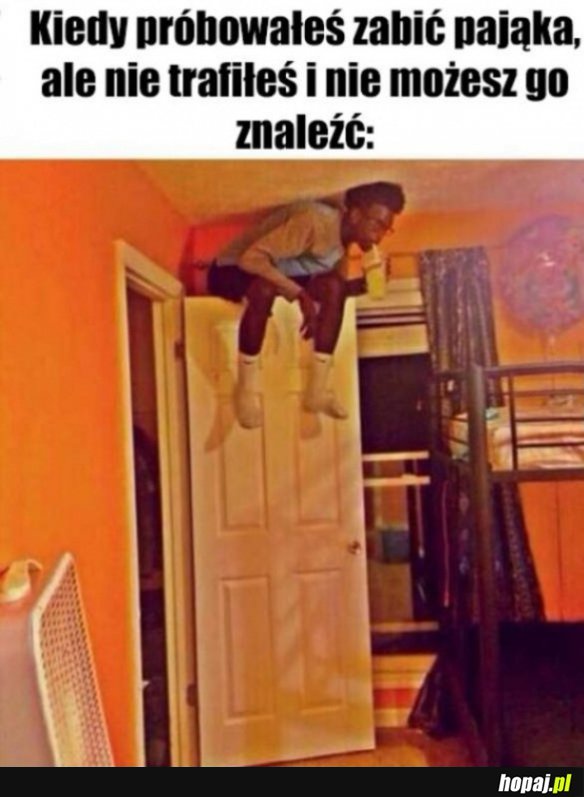 Uwaga pająk