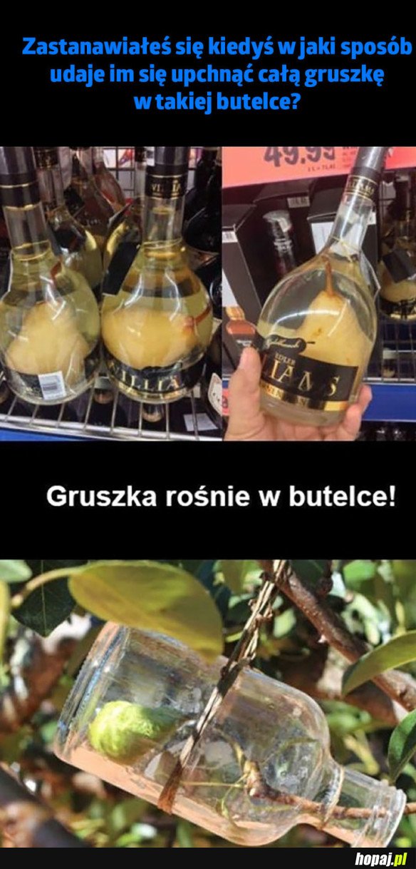 ZAGADKA ROZWIĄZANA