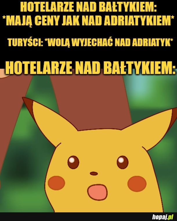 Hotelarze.