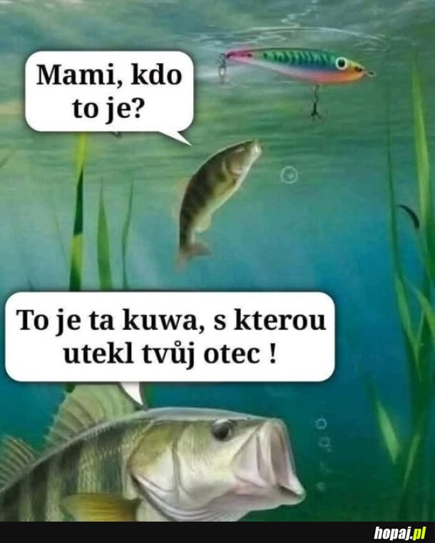 Ničemnice