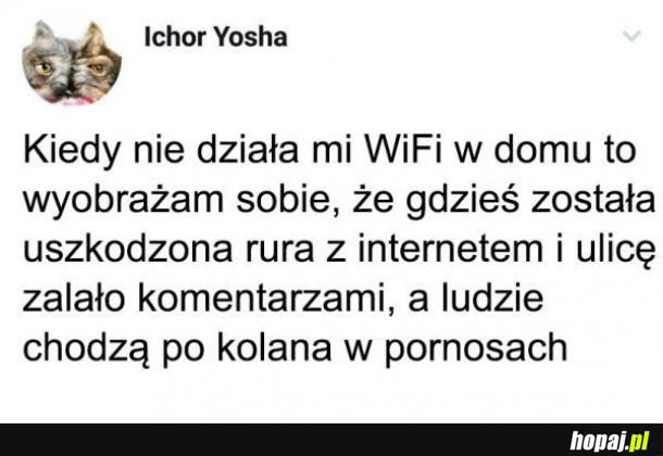 WiFi nie działa