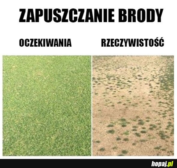 ZAPUSZCZANIE BRODY