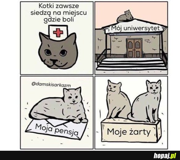 KOTKI