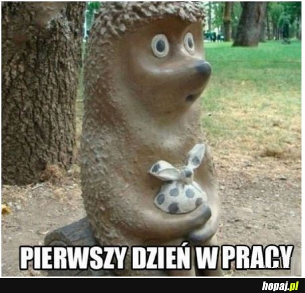 Pierwszy dzień