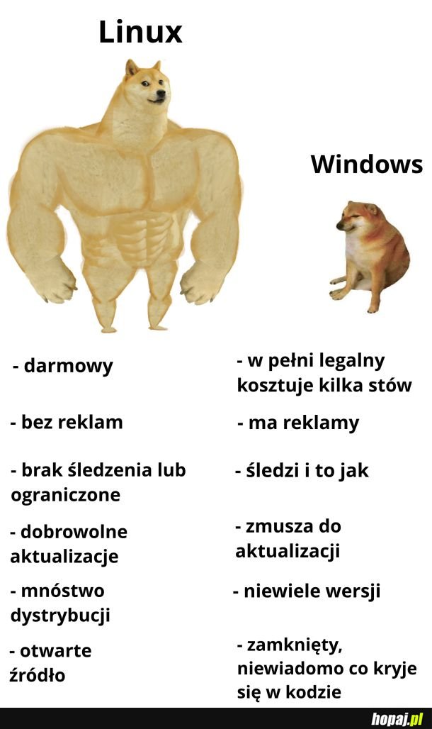 Wybór