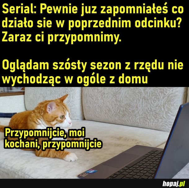 Taaak, przypomnijcie, bo już nie pamiętam