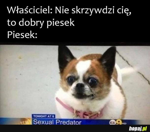 Właściciel pieska