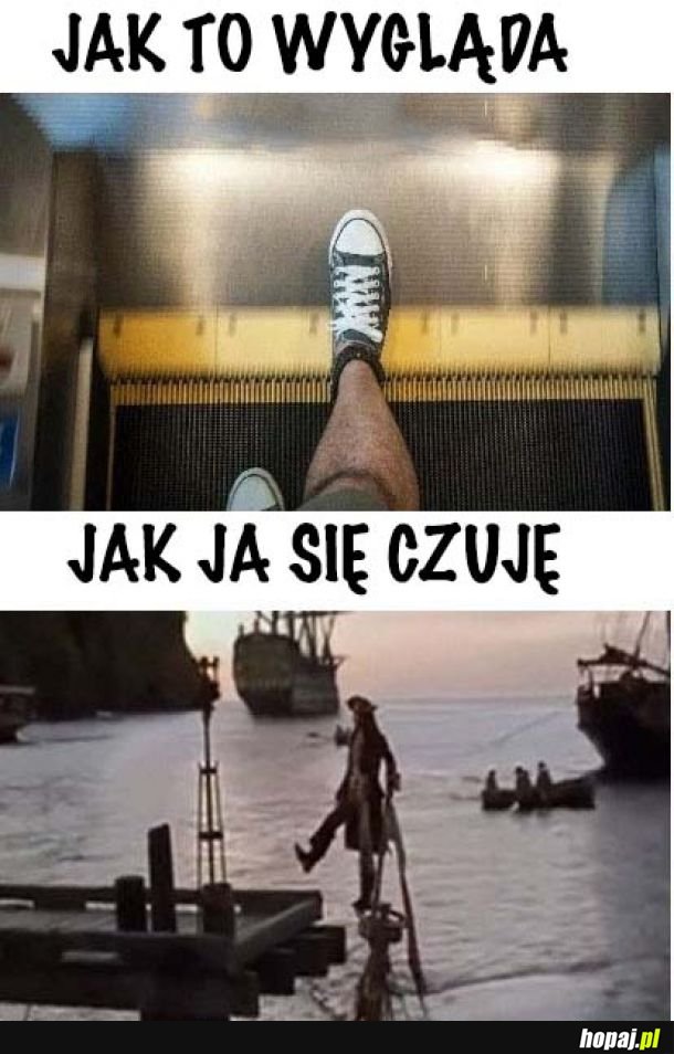 Tak to wygląda 