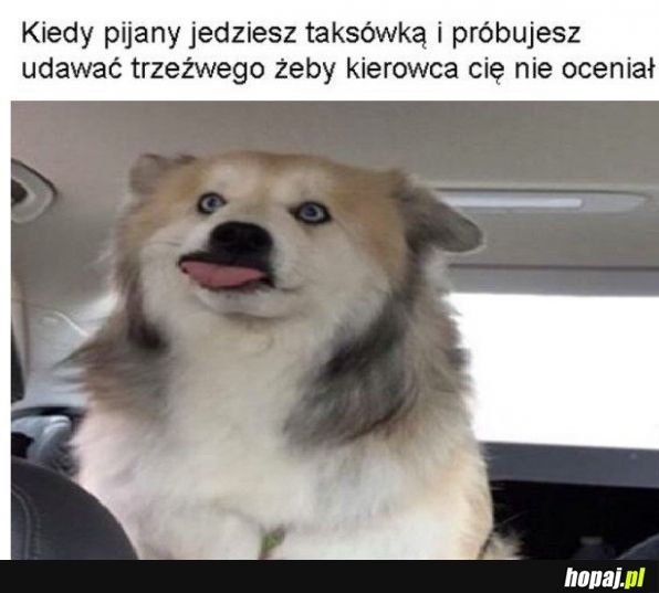 Wszystko jest ok