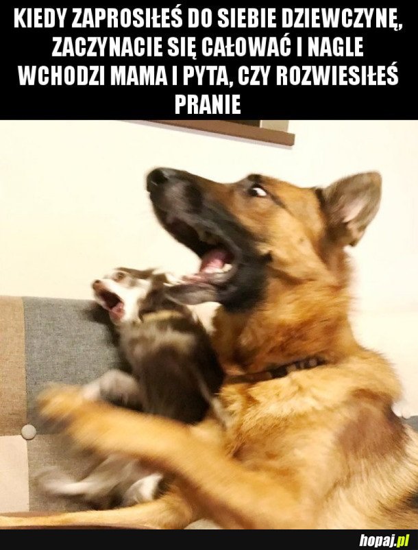 ROMANTYCZNIE Z DZIEWCZYNĄ