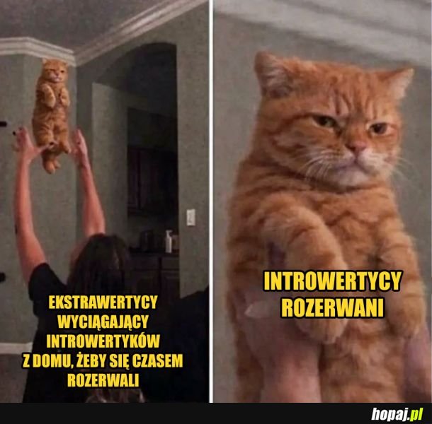 Introwertycy
