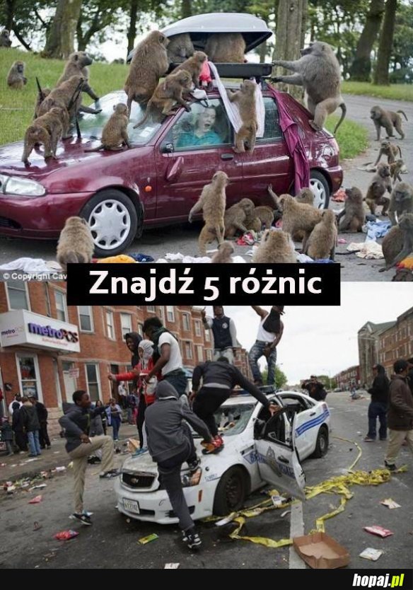 Znajdź różnicę