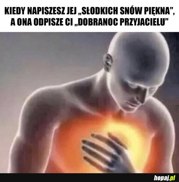 ZNOWU FRIENDZONE