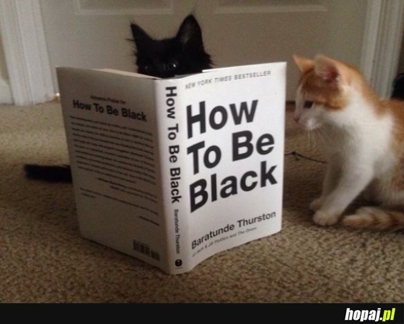 Jak być czarnym?