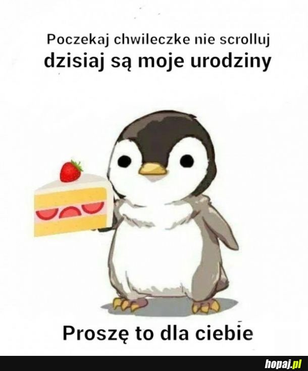 Proszę, to dla Ciebie