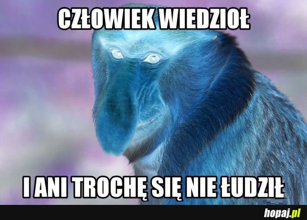 Po meczu