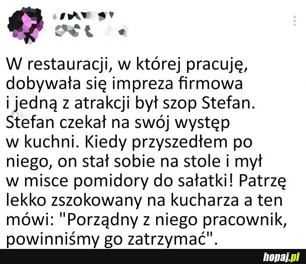 Porządny pracownik