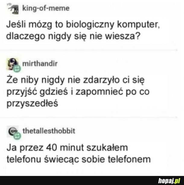 Biologiczny komputer 