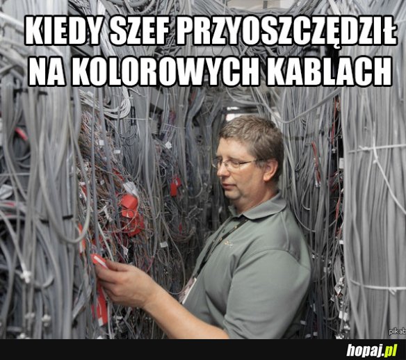 IT wiedzą jaki to ból