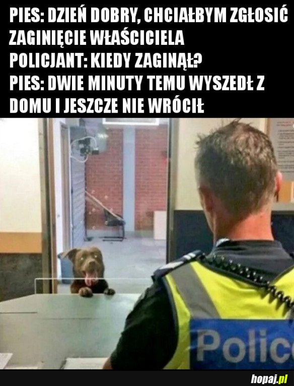 PSY TAKIE SĄ