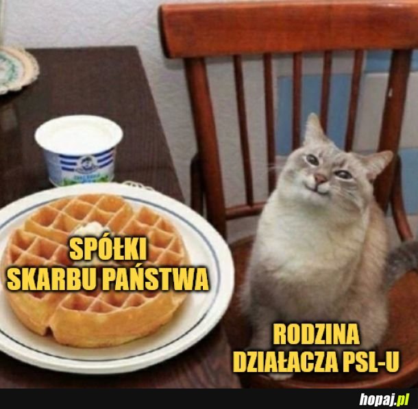 Smakowicie wyglądają! 