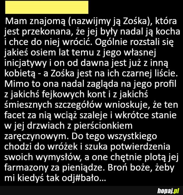 Laska odkleiła się od rzeczywistości