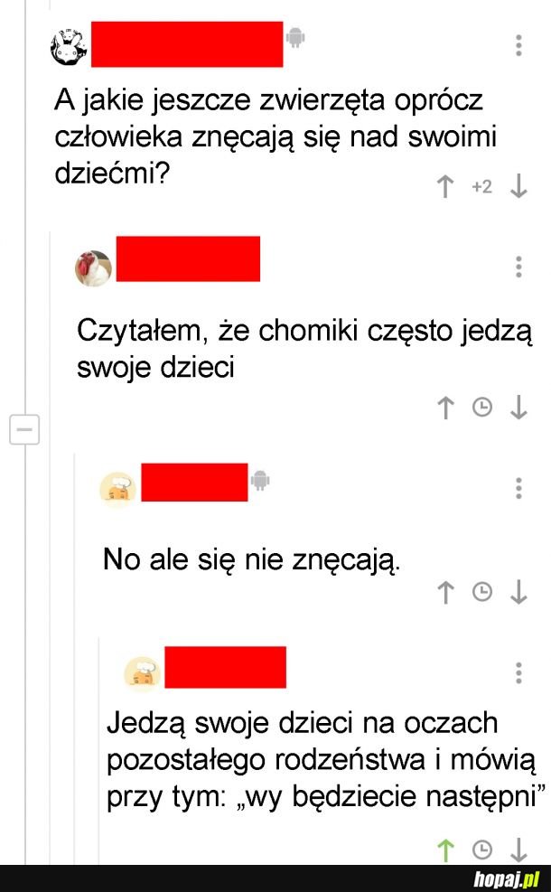 Zwierzęta