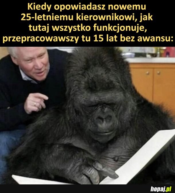 Nowy kierownik