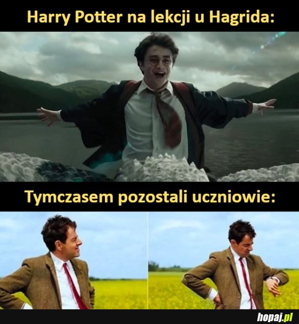 Harry Potter na lekcji u Hagrida