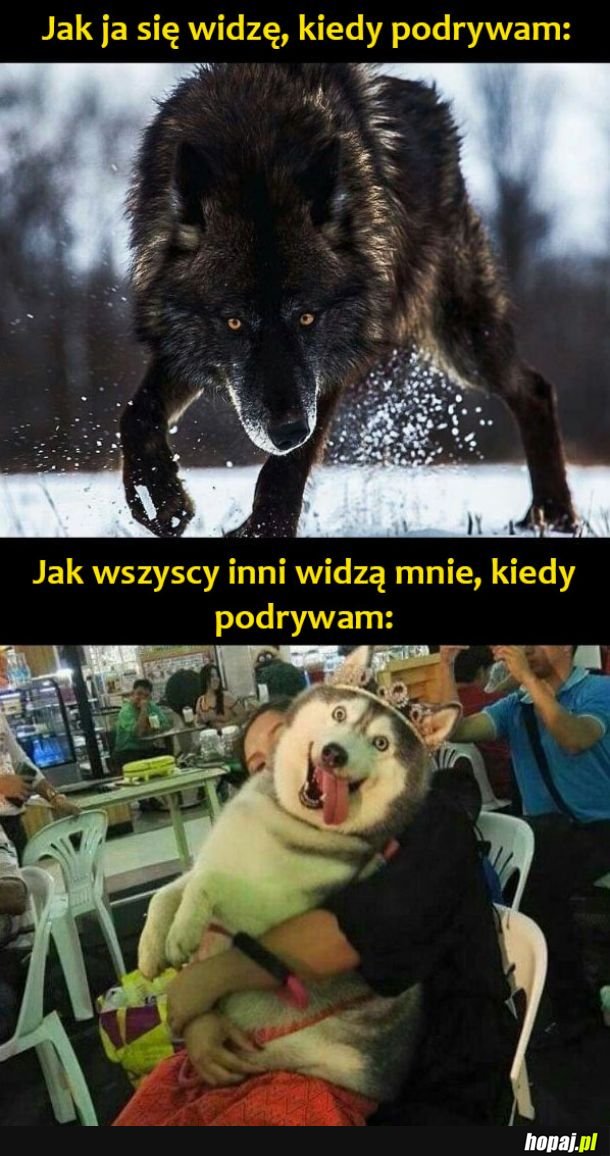 Podrywanko