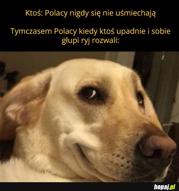 Po prostu mamy wysublimowany gust jeśli chodzi o humor