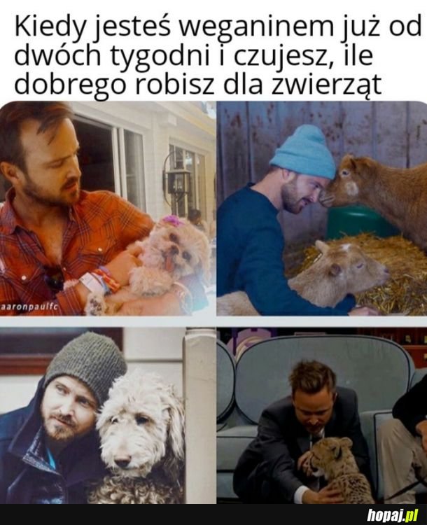 Czuję dobrze 