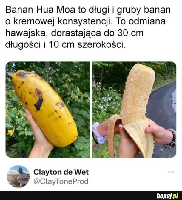 Banan o który kazała ci się martwić