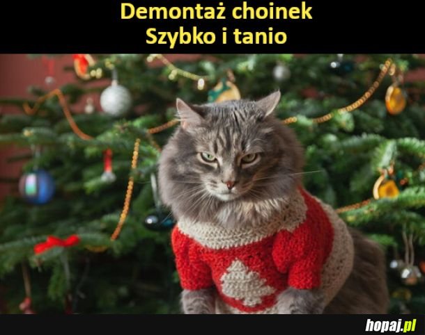 Demontaż choinek