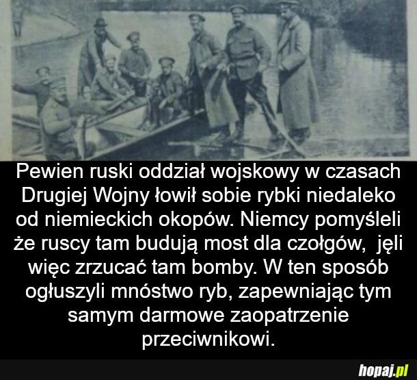 Ciekawostka na dziś