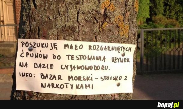 Ogłoszenie