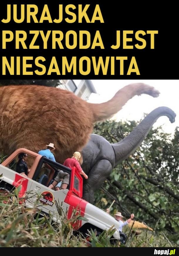 Kotozaur atakuje