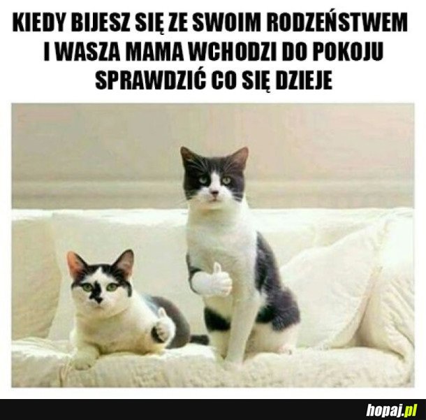 MAMO WSZYSTKO W PORZĄDKU