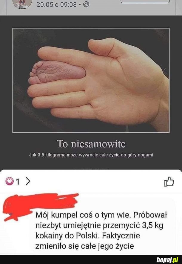 Niesamowite