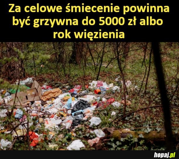 Co myślicie?